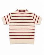 Creamy & Burgundy Knit Stripe Polo